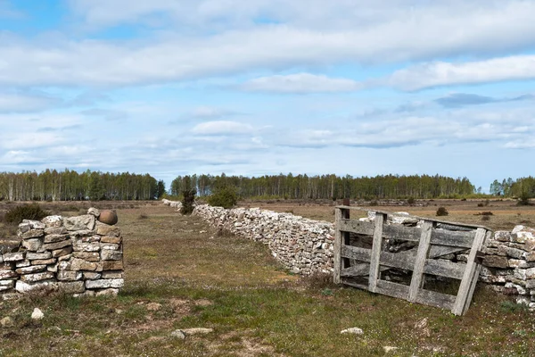 スウェーデンのオランド島のストラ アルバレットにある自然保護区の乾燥した石の壁による古い木製の門 — ストック写真