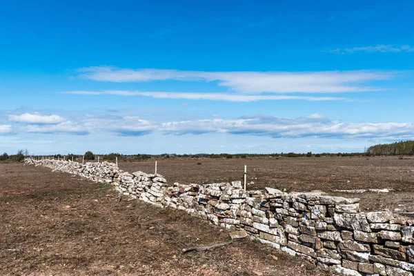 Begrenzung Einer Traditionellen Trockenmauer Einem Großen Grasland Stora Alvaret Auf — Stockfoto