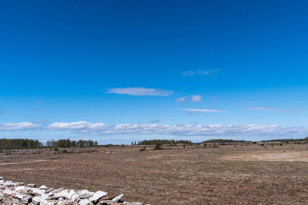 広大な不毛の草原 スウェーデンのストラ アルバレットのメルスタシーによる自然保護区 — ストック写真
