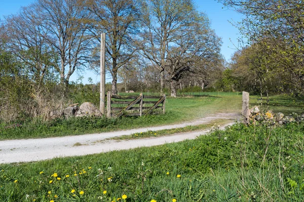 Porta Madeira Velha Por Uma Estrada Rural Estação Primavera Ilha — Fotografia de Stock