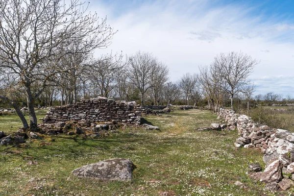 Vieux Village Abandonné Drostorp Dans Site Patrimoine Mondial Oland Méridional — Photo