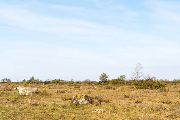 世界遺産のストラ アルバレット Stora Alvaret はスウェーデンのオランド島にある草原 — ストック写真