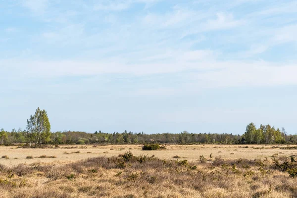 Grande Plaine Prairie Stérile Stora Alvaret Sur Île Oland Suède — Photo