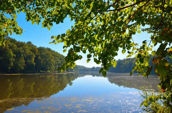 Gyönyörű kilátás nyílik a tóra, a fák — Stock Fotó