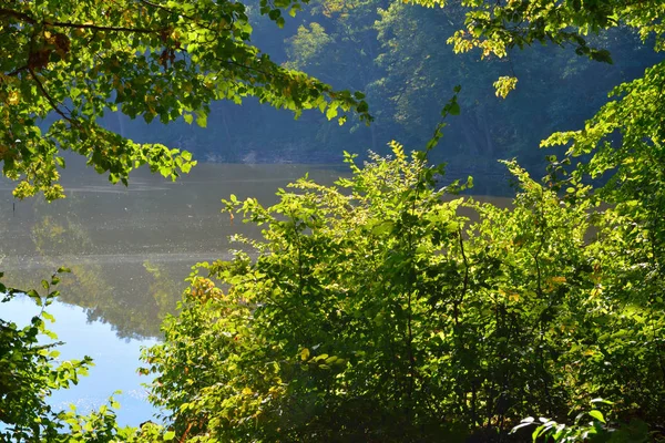 Bella vista sul lago attraverso gli alberi — Foto Stock