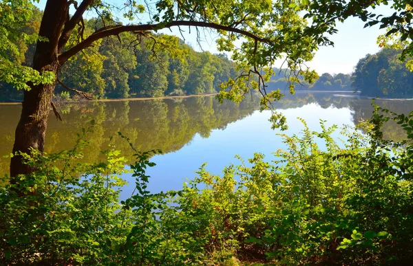 Schöne Aussicht auf den See durch die Bäume — Stockfoto