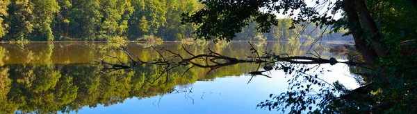 Piękny widok na jezioro przez panorama drzew — Zdjęcie stockowe