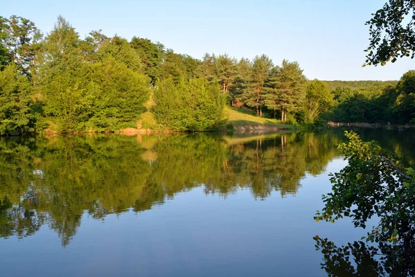 Lago di foresta con alberi di riflessione in acqua — Foto Stock
