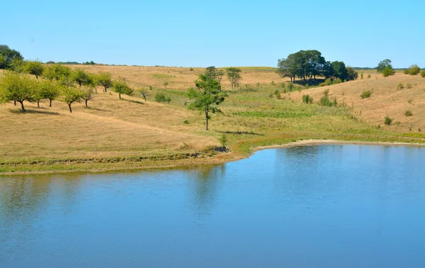 Schöner Blick auf den See im Sommer — Stockfoto