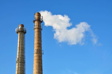 hangi duman bitki boru çıkar