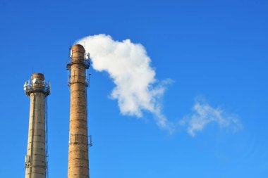 hangi duman bitki boru çıkar