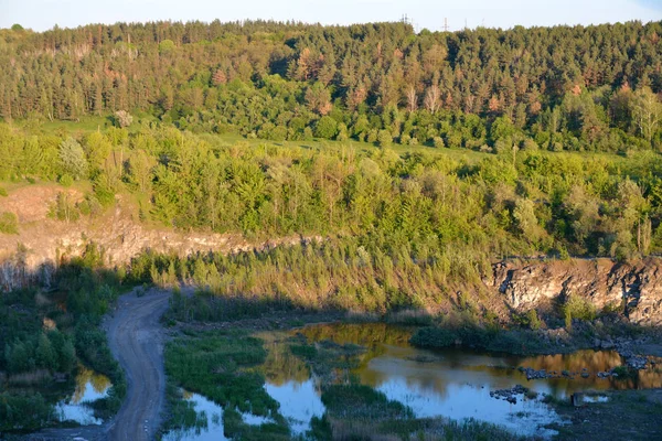 Trees around the quarry — Stock Photo, Image