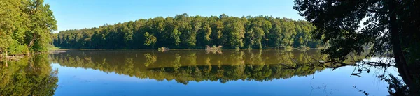 Panorama de um lago florestal — Fotografia de Stock