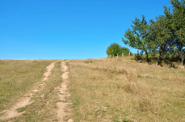 Camino de campo hacia el horizonte — Foto de Stock