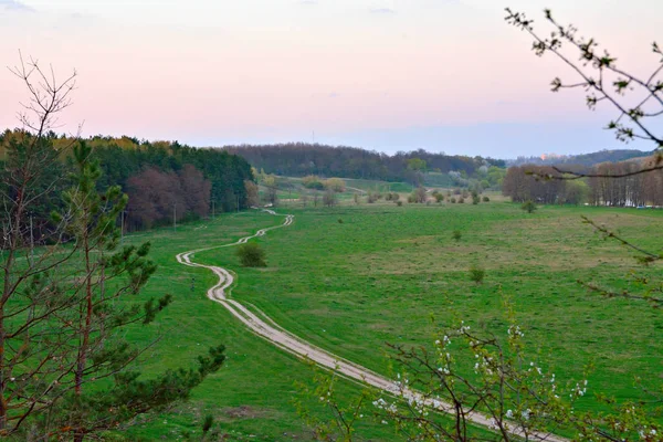 Polní cesta v poli blízko lesa — Stock fotografie