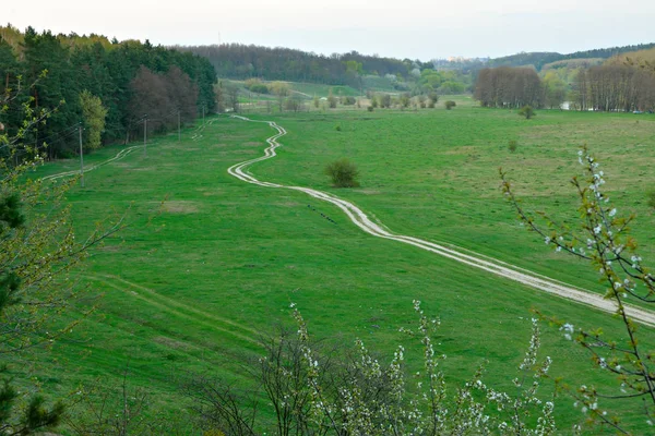 Feldweg auf einem Feld in Waldnähe — Stockfoto