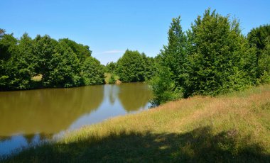 Orman gölü ağaçlarla çevrili.
