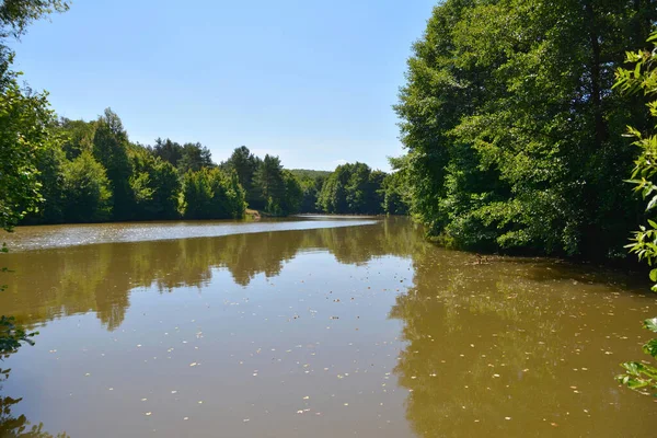 Der Waldsee Ist Von Bäumen Umgeben — Stockfoto