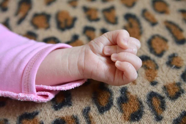 Babyhand Zur Faust Geballt — Stockfoto