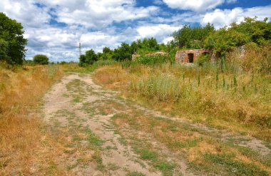 Ağaçların arasındaki toprak yol.
