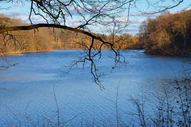 Ağaçların dalları arasından göl manzarası