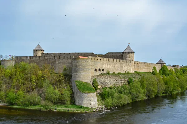 Forteresse à Ivangorod . — Photo