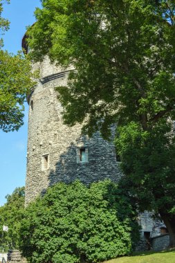 tallinn eski kule.