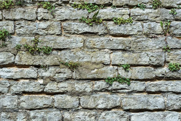 灰色の石の壁. — ストック写真