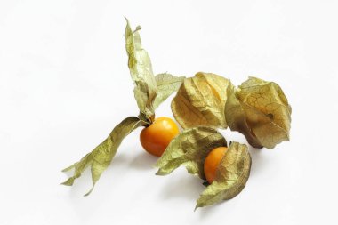 Işıkta sebze salatası..