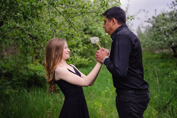 Wonderful love story in photos. Pretty pair in green fruit garden. — Stock Photo, Image