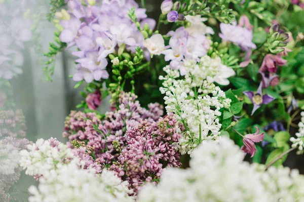 화이트의 큼과 녹색 꽃잎 사이 보라색 라일락 — 스톡 사진