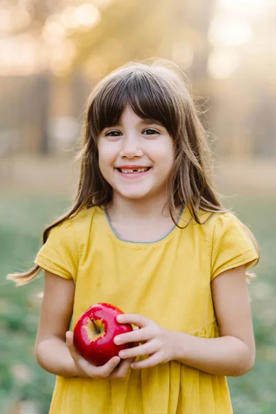 Lapsi poimii omenoita maatilalla syksyllä hedelmätarhassa. Menetys maitohampaan hymy. Terveellistä ravintoa. Söpö pieni tyttö syö punaista herkullista omenaa. Sadonkorjuun käsite. Applen poiminta . — kuvapankkivalokuva