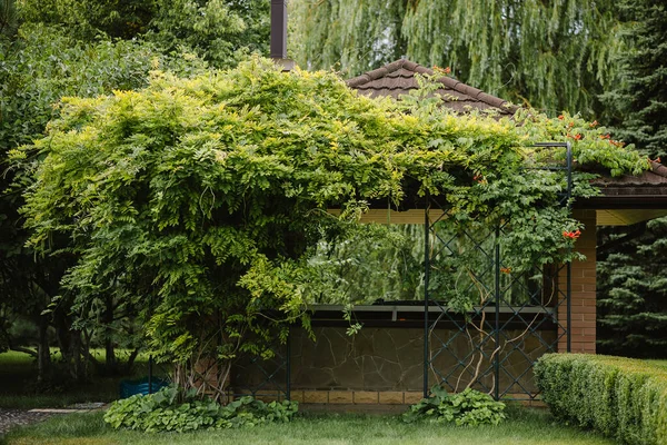 Je to spousta zeleně. Stromy a keře v zahradě skrývají altán. Místo k pobytu v létě. — Stock fotografie