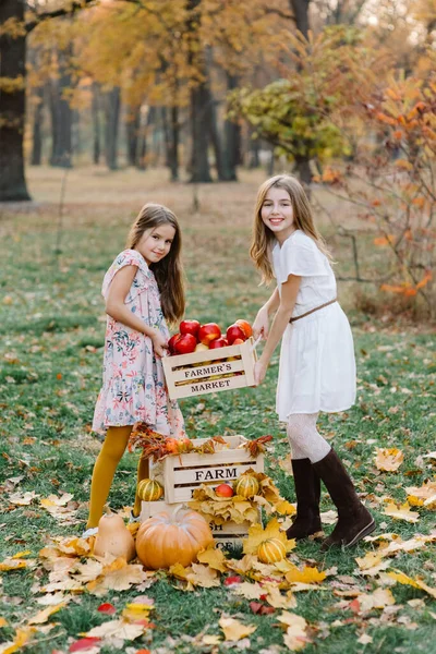Two cute sisters in long white dresses hold in hands basket of ripe fruits and vegetables. Richsummer and autumn harvest . Agriculture. Soft focus. Vertical