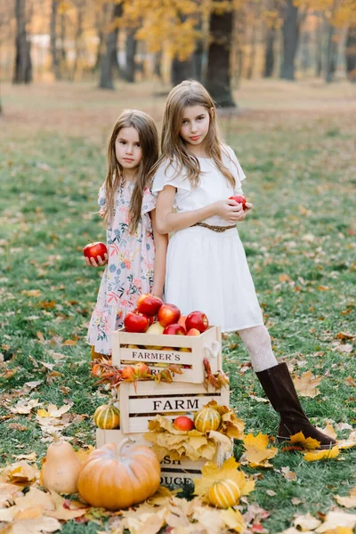 Two cute sisters in long white dresses hold in hands basket of ripe fruits and vegetables. Richsummer and autumn harvest . Agriculture. Soft focus