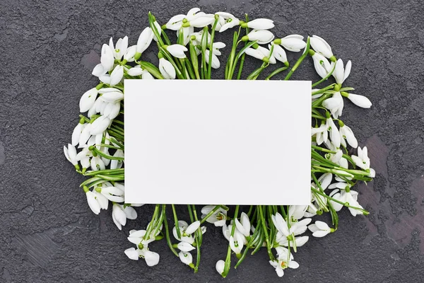 Carte De Voeux Avec Perce Neige Sur Fond Noir Et Gris Tendre Blanc Goutte De Neige Carte De Voeux Avec Perce Neige Sur Fond Noir Et Gris Tendre Blanc Goutte De Neige