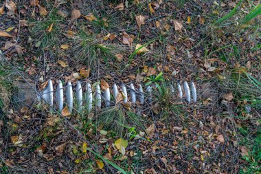Şehir ruhu Pripyat. Chernobyl dışlama bölgesi. Çernobil nükleer santralinde meydana gelen kaza. Kazaların sonuçları. Sarı radyasyon işareti. Tehlikeli bir bölge. Radyasyon ile enfeksiyon.