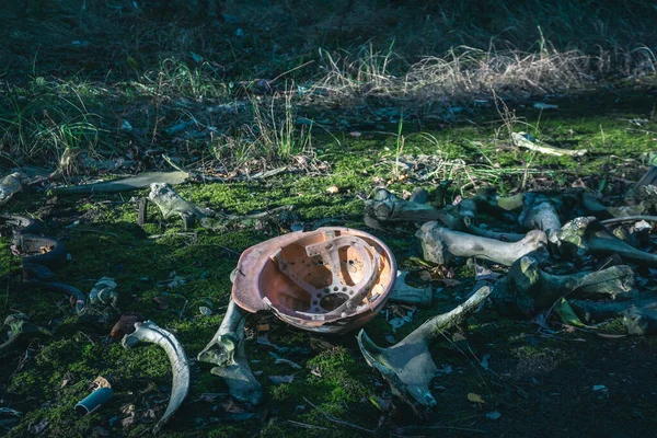 Fantôme Ville Pripyat Zone Exclusion Tchernobyl Accident Centrale Nucléaire Tchernobyl — Photo