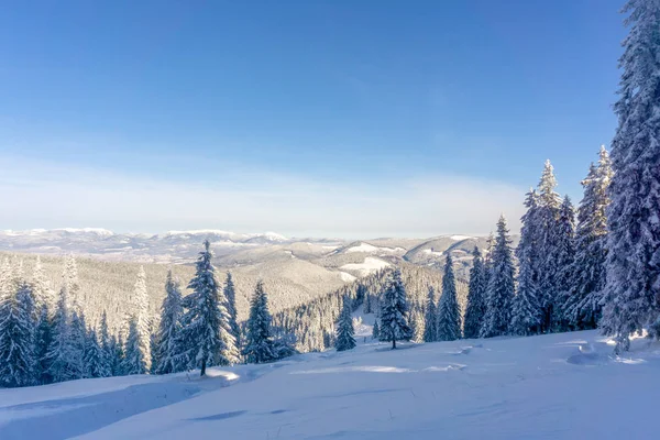 Karpaten Majestätische Winterlandschaft Weihnachtszeit Ukraine Europa — Stockfoto