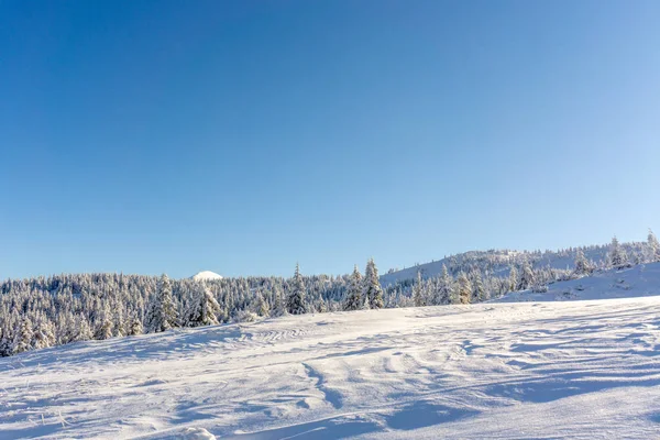 Karpaten Berg Majestueus Winterlandschap Kersttijd Oekraïne Europa Rechtenvrije Stockafbeeldingen