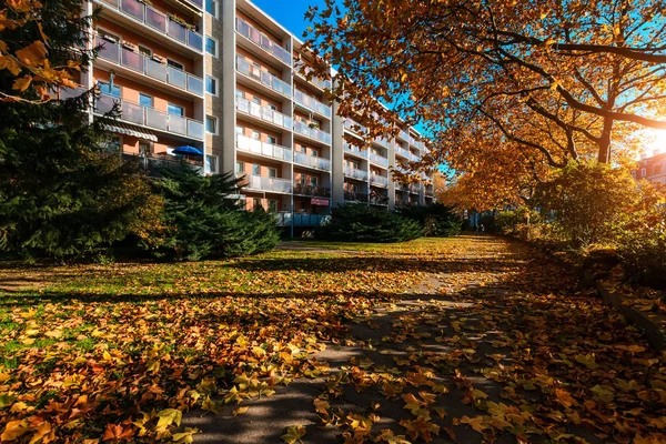 Autumn in the streets of Dresden — Stock Photo, Image