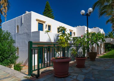 Yunanistan 'ın Girit kentindeki palmiye ağaçlarının manzarası çok güzel.