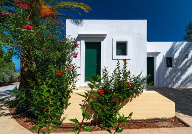 Yunanistan 'ın Girit kentindeki palmiye ağaçlarının manzarası çok güzel.