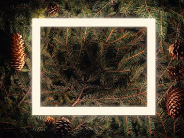 Ladin dallarından yapılmış yaratıcı floresan renk düzeni