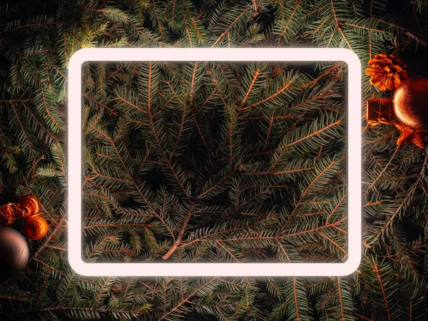 Kreativ fluorescerande färg layout gjord av gran grenar — Stockfoto