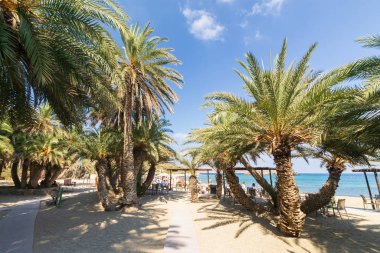 Girit 'in doğu tarafındaki güzel Vai Palm plajında palmiyeler