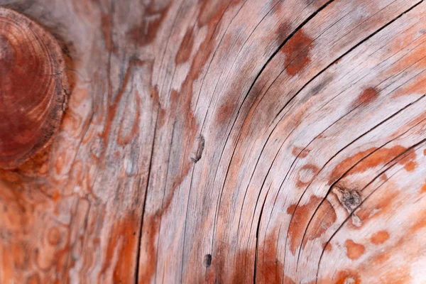 Fondo de textura de madera. Plano, vista superior, espacio para copiar . — Foto de Stock