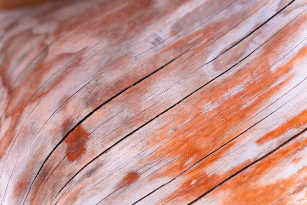 Fondo de textura de madera. Plano, vista superior, espacio para copiar . — Foto de Stock