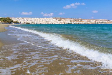 Girit 'in Sitia kasabası yakınlarındaki rıhtımda ağaçlar