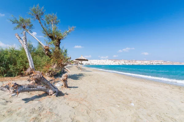 Árboles en el paseo marítimo cerca de la ciudad de Sitia, Creta — Foto de Stock